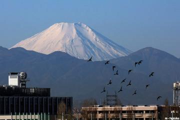 ファイル名: sanpo1001.jpg
ファイルサイズ: 64.4KB
→クリックで元のサイズを表示 sanpo1001