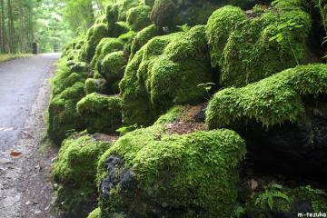 軽井沢