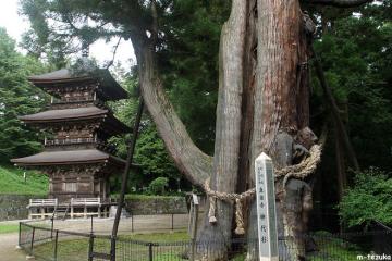 真楽寺