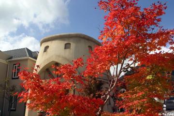 紅葉狩り