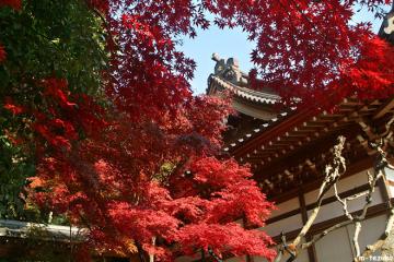 深大寺