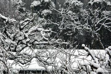 雪の日