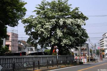 080523