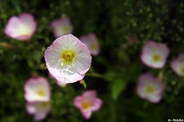 080528