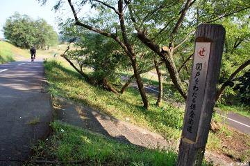 081013