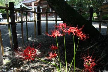 090913