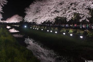 100406