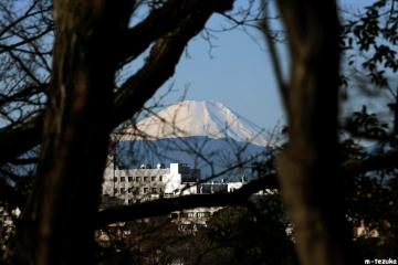 ファイル名: 110108.jpg
ファイルサイズ: 69.2KB
→クリックで元のサイズを表示 110108