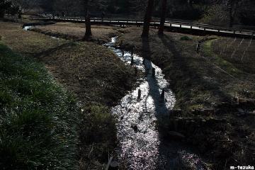 ファイル名: 120111.jpg
ファイルサイズ: 111.2KB
→クリックで元のサイズを表示 120111
