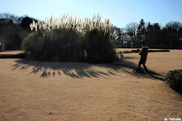 ファイル名: 120113.jpg
ファイルサイズ: 83.8KB
→クリックで元のサイズを表示 120113