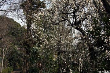 ファイル名: 120316.jpg
ファイルサイズ: 136.4KB
→クリックで元のサイズを表示 120316