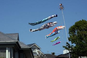 ファイル名: 120505.jpg
ファイルサイズ: 64.6KB
→クリックで元のサイズを表示 120505